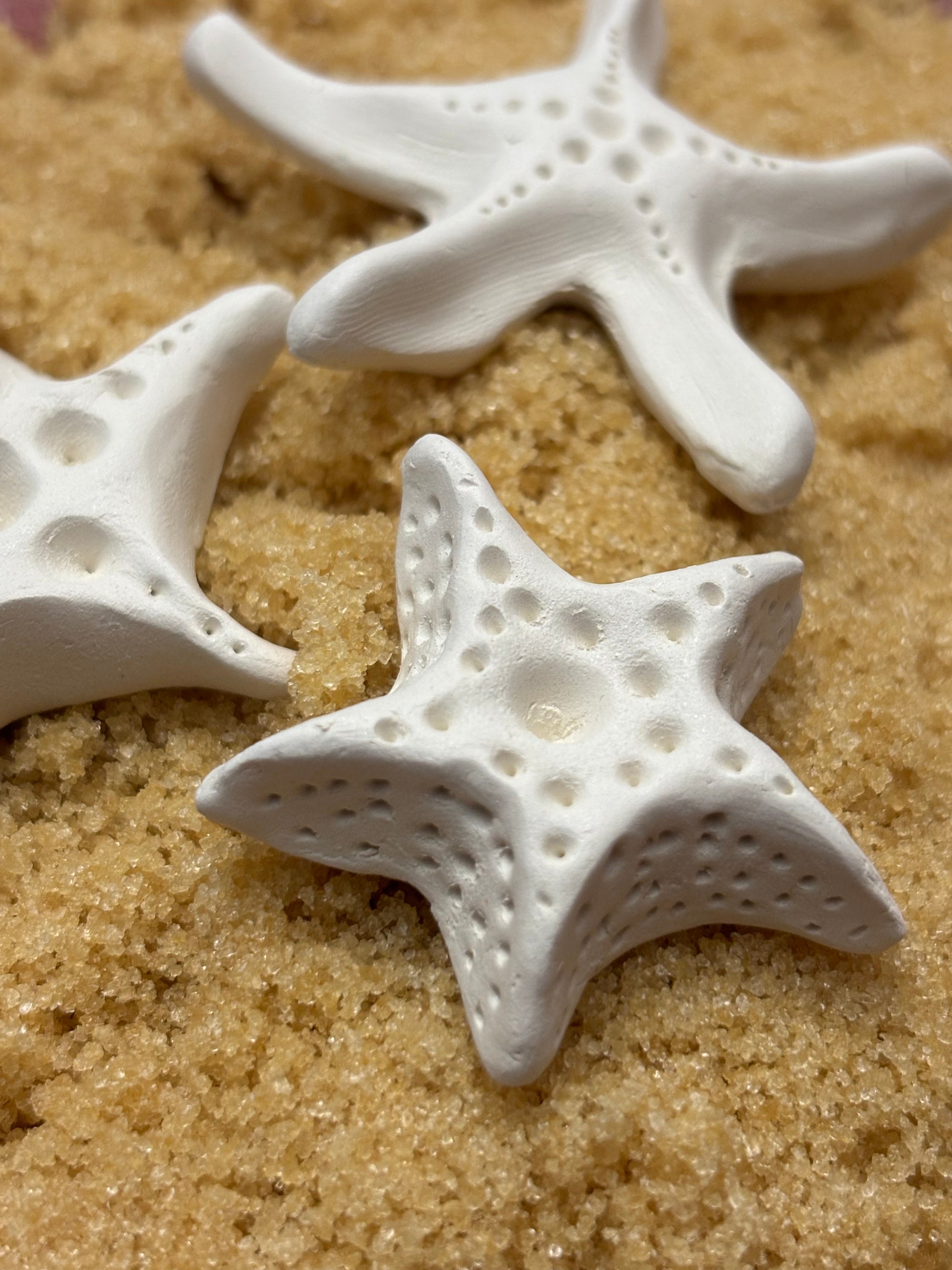 Brown Sugar Keeper (Starfish)