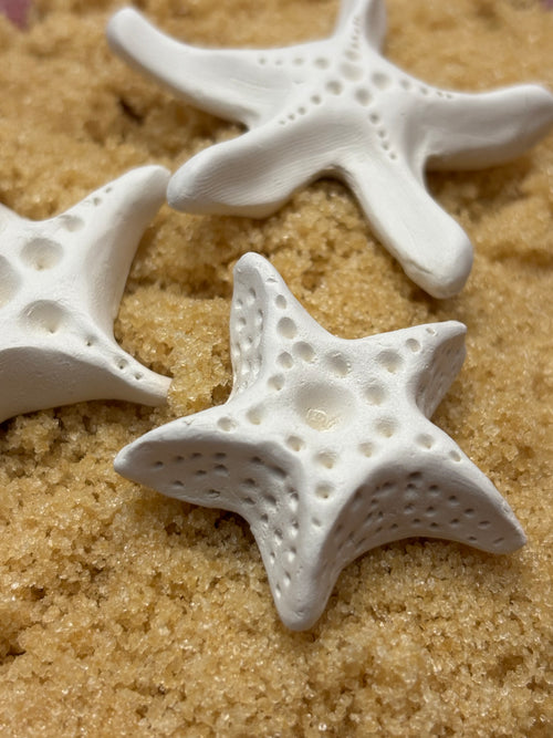 Brown Sugar Keeper (Starfish)