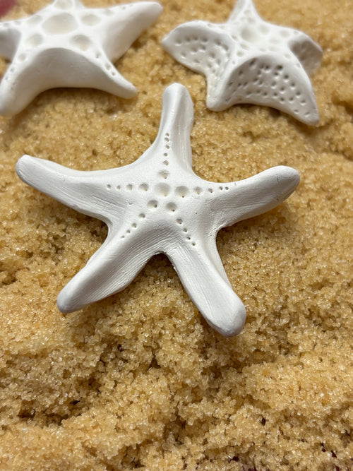 Brown Sugar Keeper (Starfish)