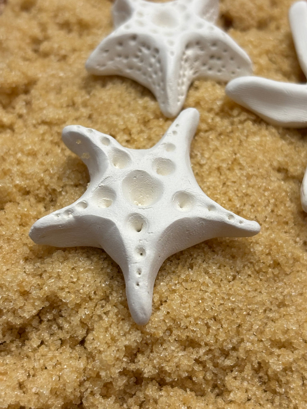 Brown Sugar Keeper (Starfish)