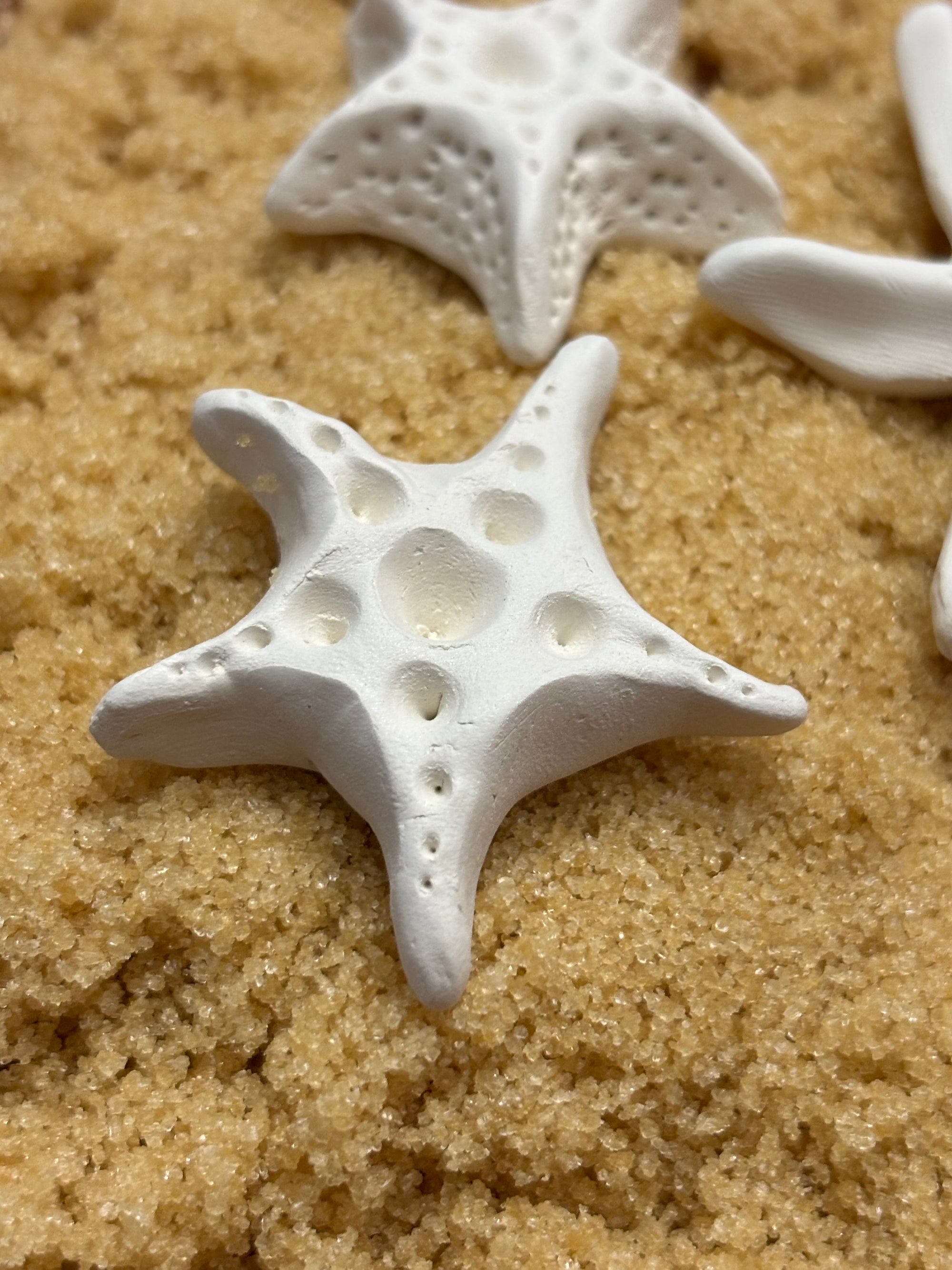 Brown Sugar Keeper (Starfish)