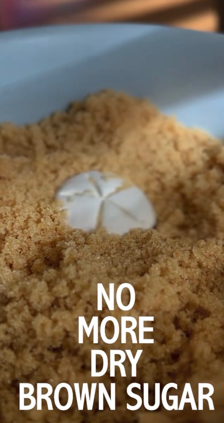 Brown Sugar Keeper (Sand Dollar)