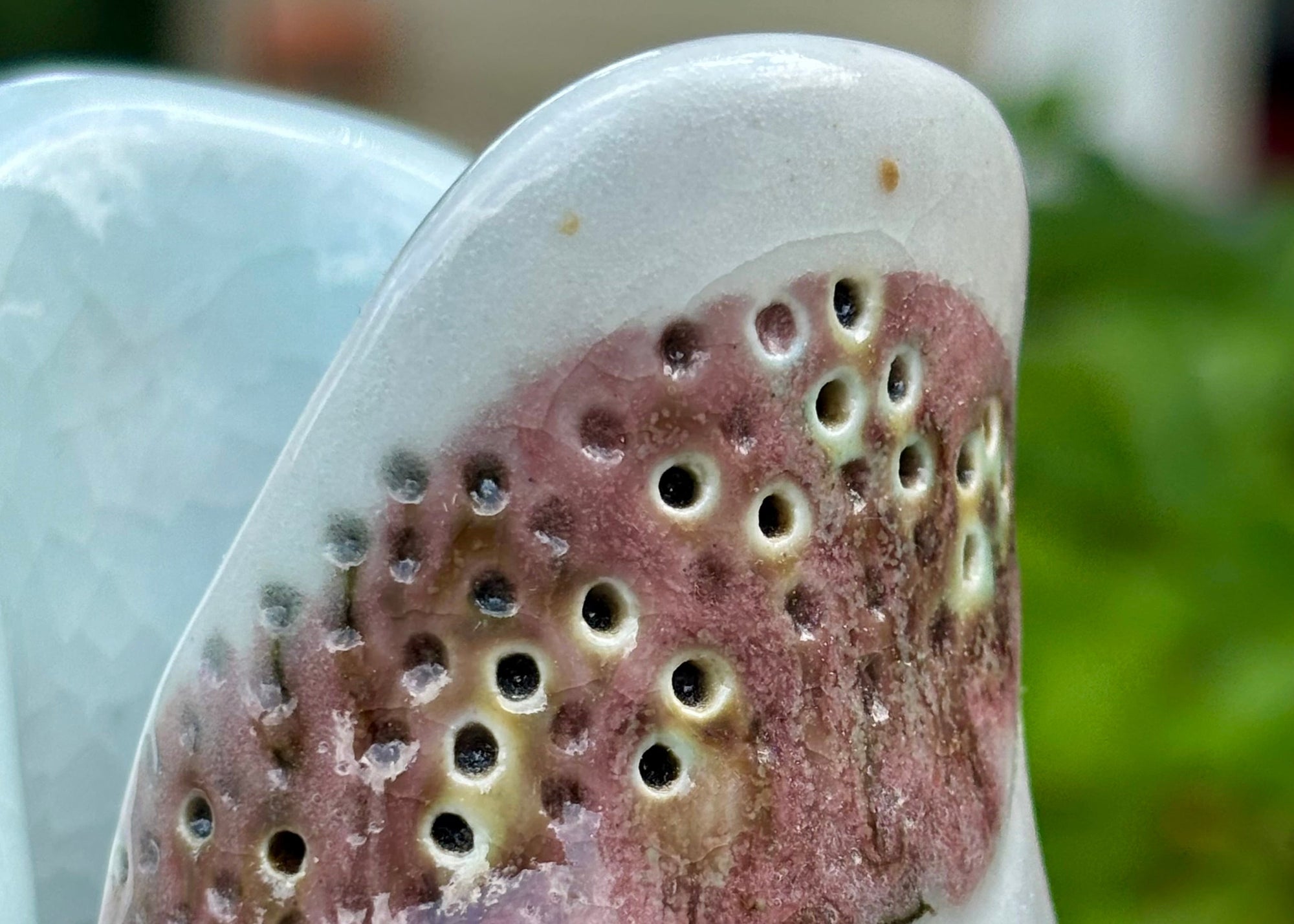 Lotus Vase