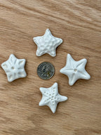 Brown Sugar Keeper (Starfish)
