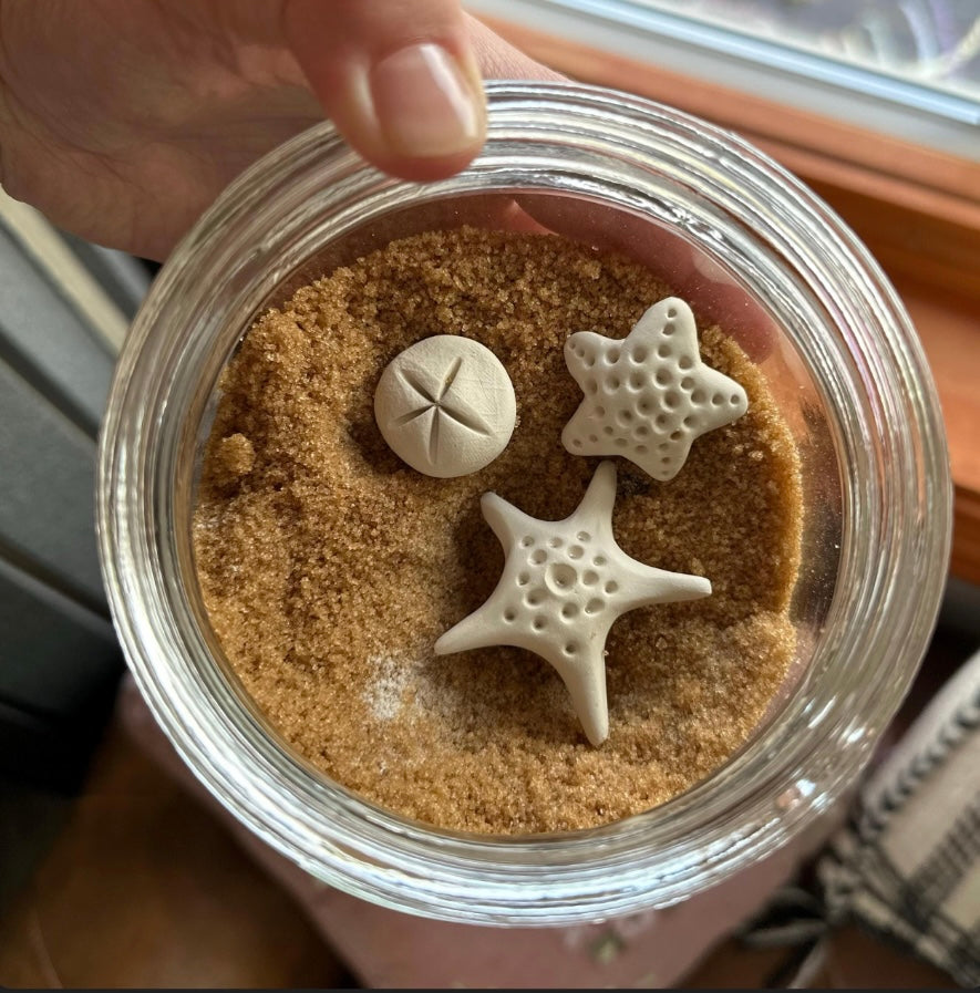 Brown Sugar Keeper (Sand Dollar)