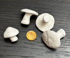 Brown Sugar Keepers (Toadstools)
