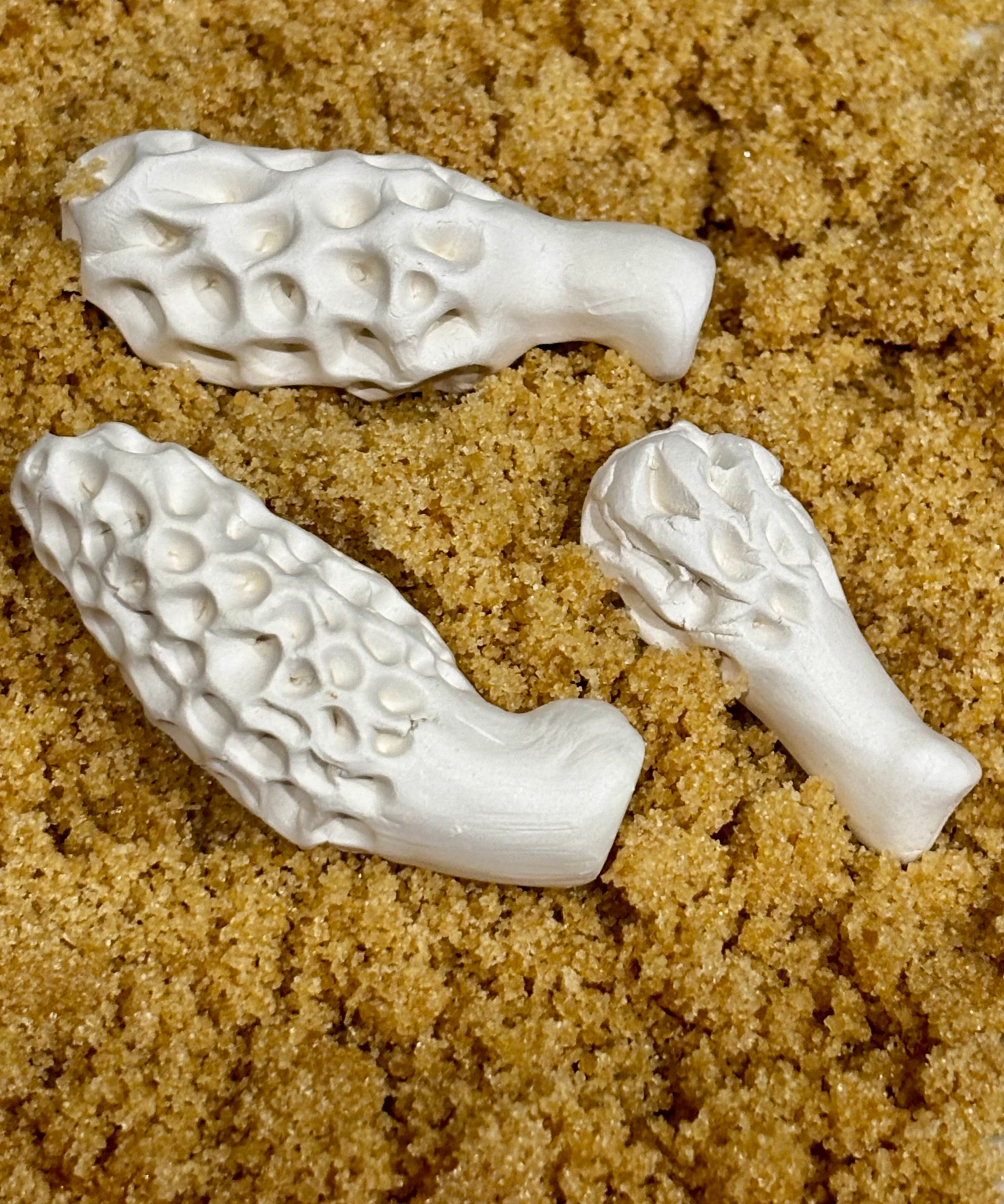 Brown Sugar Keepers (Morel)