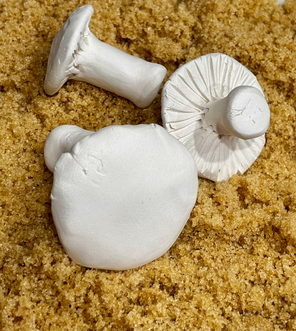 Brown Sugar Keepers (Toadstools)