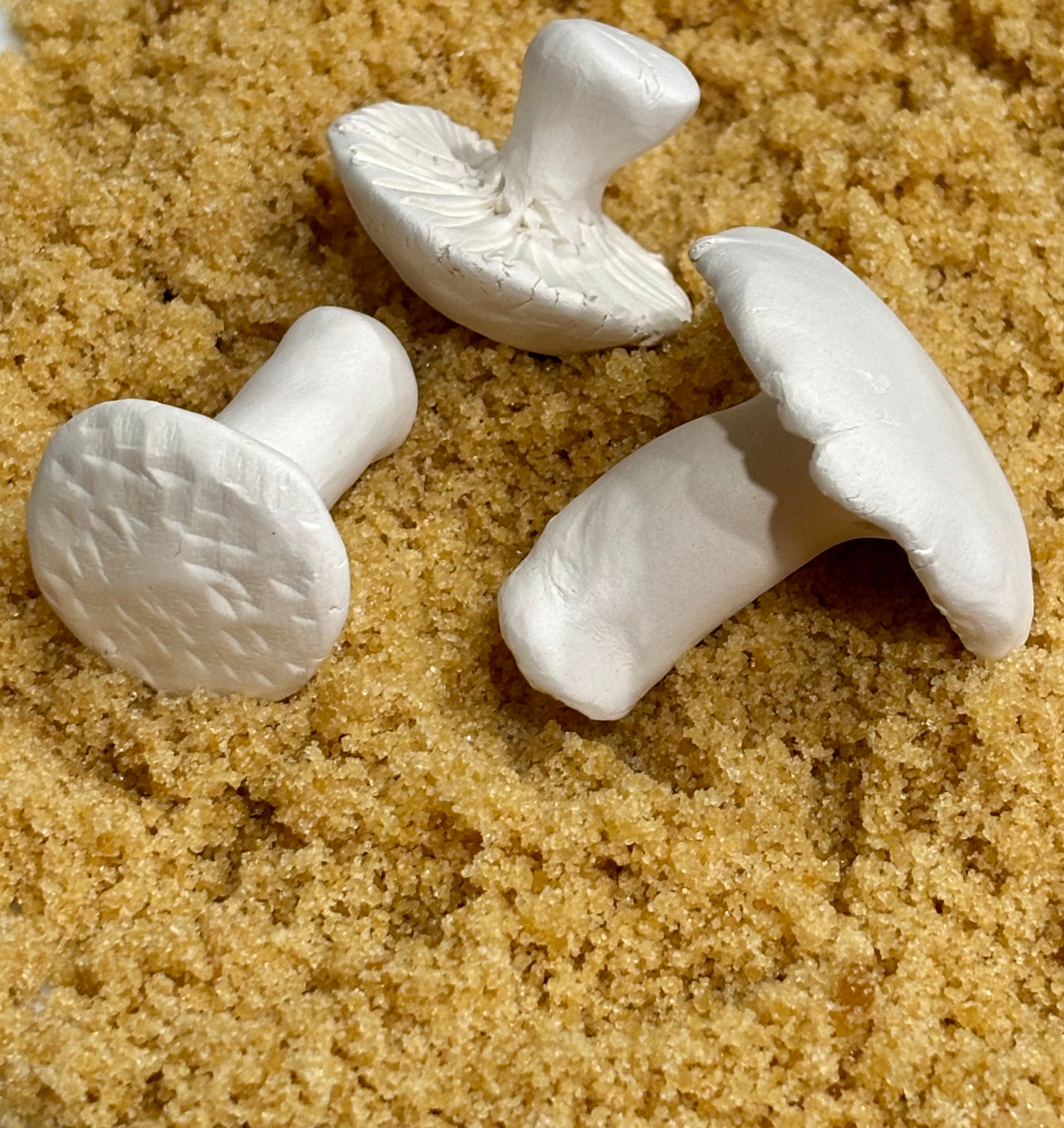 Brown Sugar Keepers (Toadstools)